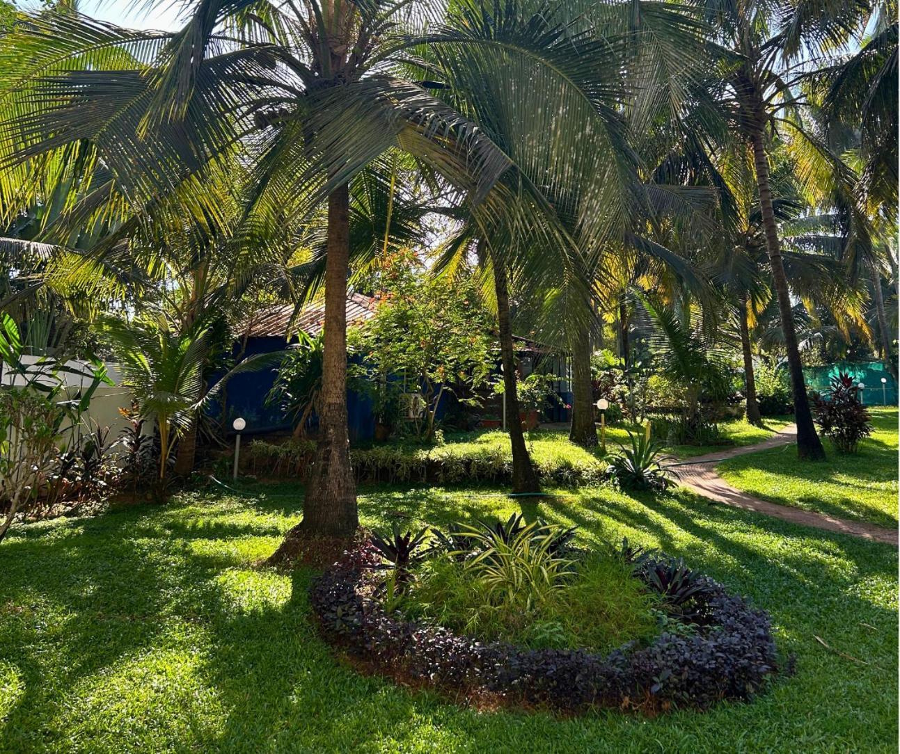 Jungle Hut-Annabelle'S Beach Apartments At Bernard Simao,Calangute,Goa Candolim Exteriér fotografie