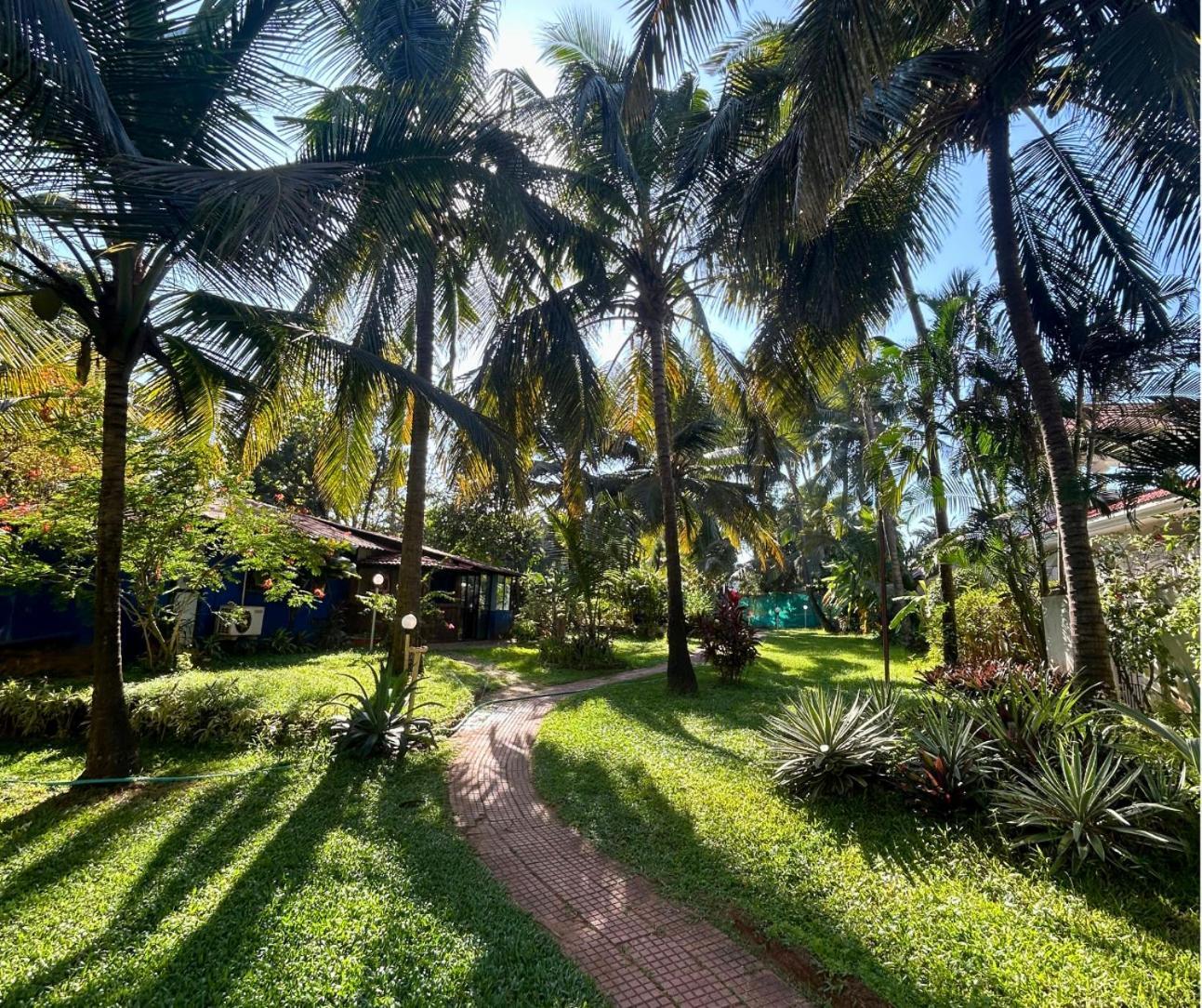 Jungle Hut-Annabelle'S Beach Apartments At Bernard Simao,Calangute,Goa Candolim Exteriér fotografie